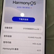 華為P80