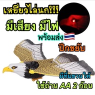 เหยี่ยวไล่นก ส่งจาก🇹🇭 🦅🦅ใช้สำหรับไล่นกพิราบ