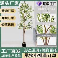 Simulation Olive Tree Hotel Landscaping Design Decorative Tree New Style Large 3m with Fruit Olive T