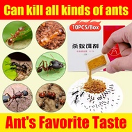 【Latest R&D by scientific institutions】GN Ant killer Ant poison Ant killer bait Kill various ants, 1