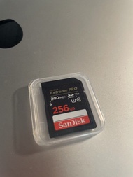 Sandisk 256gb 記憶卡