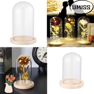 UMISTYDREAM9IQ0 Glass cloche Terrarium Tabletop Jar Glass Vase Plants Transparent Bottle Flower Stor