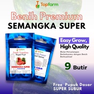 Benih Topfarm / Benih Semangka Super Jumbo / Benih Semangka Non Biji / Benih Semangka Merah / Benih 