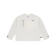 Matte Long Sleeve T-Shirt | Joy Icon Long Sleeve Boxy / GRAY