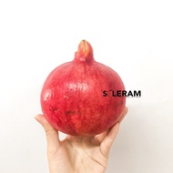 Buah Delima Merah Terbaru