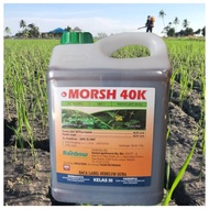 4L MORSH 40K RAINBOW sama dgn Fezone 40K / Nu-40K Racun Rumput Padi MCPA POTASSIUM
