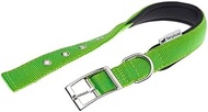 Daytona C 25/53 Green Dog Collar, Neck Circumference: 17.7 to 20.9 inches (45 to 53 cm)