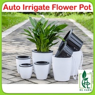 Auto Irrigate Flower Pot Vase Self-Watering Planter Lazy Planting Round Decor / Self Watering Pot / 