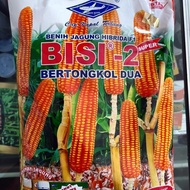 BENIH JAGUNG BISI 2 CAP KAPAL TERBANG --