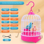 WEIBAI | Talking Bird Cage Toy