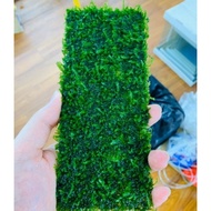 RÊU MINI TAIWAN vỉ 20x8cm siêu đẹp gắn lũa hoặc trải nền