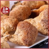 猴头菇 250g Lion's Mane Mushroom Hericium Erinsceus Mushroom Cendawan Hericium Erinsceus