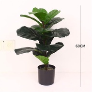 Artificial Fiddle Leaf Fig Tree/Fake Ficus Lyrata Plant with 21 Leaves Faux Plants in Pot for Indoor