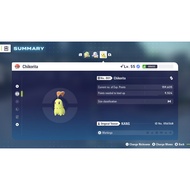 Pokemon Legends Z-A - 6IV Shiny Chikorita