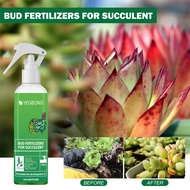 1PC Natural Fertilizer Sustainable Popular Succulent Care Products Organic Nutrients High Quality The Best Succulent Fertilizer