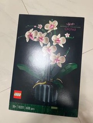 LEGO 樂高 10311 蘭花 orchid