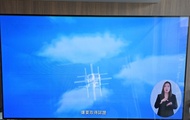 LG 55吋 4K OLED 電視