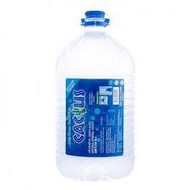 Cactus Mineral Water (9.5L)