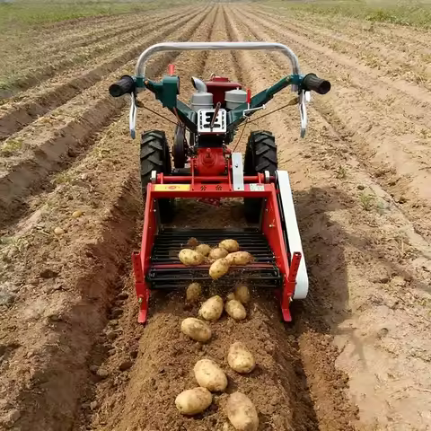 Potato Harvesting Machine Mini Sweet Potato Harvester Tiller Mini Tractor Potato Harvester