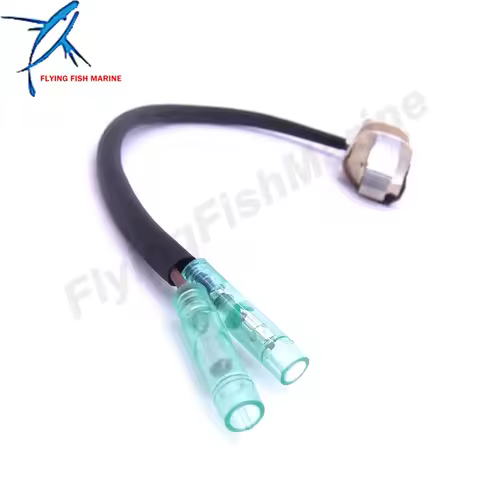 Boat Motor F9.9-01.06.00.13 Charging Coil Assy for Hidea F8 F9.9 Outboard Engine