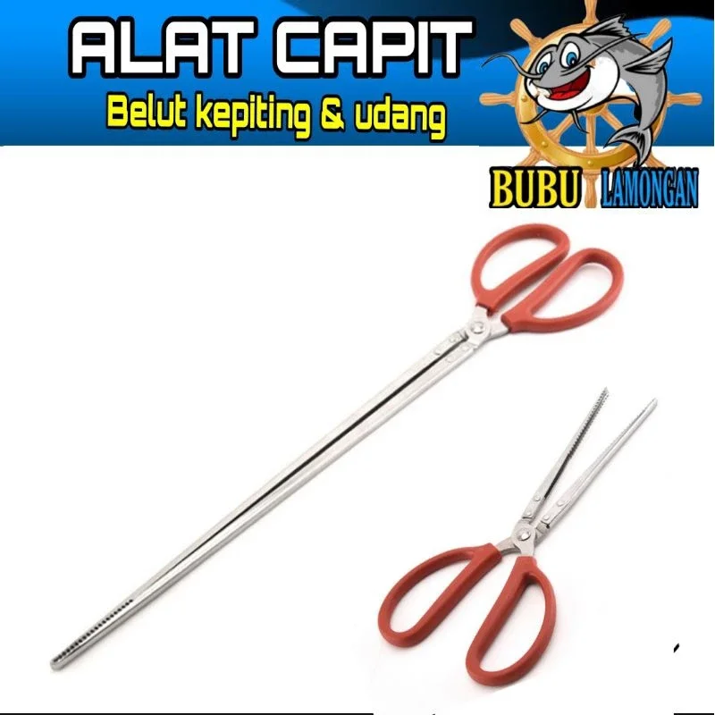 Gunting Capit belut untuk cari belut