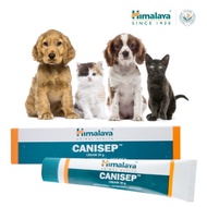 REPACK Himalaya CANISEP CREAM 5G / 8G (dermatitis, cuts, dry/moist eczema & ringworm) EXP 2024