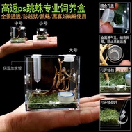 Professional Jumping Spider Breeding Box Small Non-Trapping Landscaping Box Florida Jumping Spider I