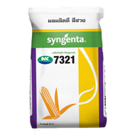ข้าวโพดเลี้ยงสัตว์ เอ็นเค 7321(NK7321) ขนาดบรรจุ 10 กิโลกรัม ผลผลิตสูง ฝักใหญ่ แกนเล็ก  ฝักมีความสม่