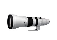Sigma 300-600mm F4 DG OS

Sports