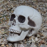 Haunted House Scary Ghost Artificial Skull Head Halloween Decoration Party Props
