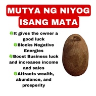 Mutya ng Niyog may isang Mata