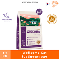 (EXP 11/2025) Wellsome Cat (Insect Protein) เวลล์ซัมแคท อาหารแมวโปรตีนจากแมลง | JT Petworld