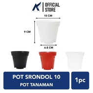 SRONDOL 10 Pot Tinggi Ruplas Tanaman-Tumbuhan Hias-Bunga-dll 10 cm