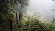 宜蘭旅遊│太平山最美小徑見晴步道．鳩之澤吊橋溫泉一日│桃竹出發