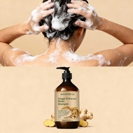 Refreshing Oil Control Ginger Biotin Shampoo, Light Feel, Daily Use  Syampu Halia Biotin Kawalan Min