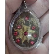 幸运星⭐          lp erp