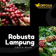 Bean Kopi Robusta Lampung 1Kg Biji Mentah