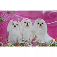 โปสเตอร์ สุนัข Dog หมา สัตว์เลี้ยง น่ารัก รูป ภาพ วิว ติดผนัง สวยๆ poster 34.5 x 23.5 นิ้ว (88 x 60 ซม.โดยประมาณ)