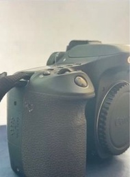 Canon 80d
