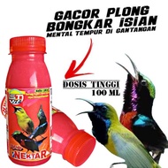 NEKTAR MERAH ST-VIT RED NECTAR vitamin Penggacor burung Kolibri pleci cucak ijo sogok ontong sepah r