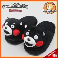 House Shoes Kumamon Authentic /