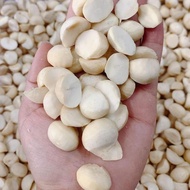 Nhân hạt macca loại VIP nhân hạt macca vỡ đôi nhân hạt macca dùng làm sữa hạt.