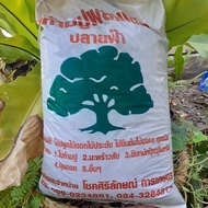 ดินใบก้ามปู ดินผสมใบก้ามปู ดินปลูกต้นไม้ ขนาด 5 กิโลกรัม Soil for planting flowers ornamental plants