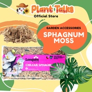 Chilean Sphagnum Moss / Peat Moss for Succulent / Rooting Moss / Garden Soil / Flower
