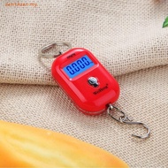 ZENITHZEN Digital Hanging Scale, 25Kg Capacity 5g Precision Electronic Luggage Hook Scale, Portable 