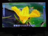 32吋LED液晶電視 HDMI x 2 ( HERAN  HD-32Z59 ) 附全新遙控器