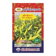 เมล็ดพริกส้มยาว Hot pepper MT/OP-090 ตราภูเขาทอง  เมล็ดพริกส้มยาว เมล็ดพันธุ์พริกส้มยาว พริกส้มยาว เ
