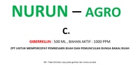 ZPT Hormon Giberelin Untuk Bunga Dan Buah Tanaman 500ml (1000ppm)