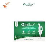 EPX:2027-1 GINFLEX 30S