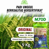 READYSTOCK Benih Padi M70D 5kg Padi M 70D Umur Pendek Genjah Padi